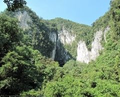 ≪英語ガイド≫世界遺産・ムル国立公園1泊2日　（コタキナバル発） 1