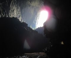 ≪英語ガイド≫世界遺産・ムル国立公園1泊2日　（コタキナバル発） 3