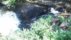 クバールスピアン、バンテアイスレイとベンメリア1日観光(お弁当付き) 4