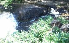 クバールスピアン、バンテアイスレイとベンメリア1日観光(お弁当付き) 4