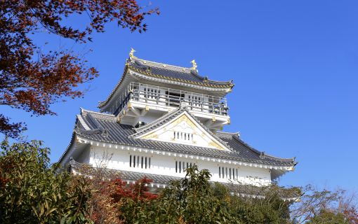 ベーシックプラン【大阪発】麒麟が来る!チャーター車で行く明智光秀関連歴史探訪ツアー
