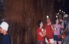 ムエタイ観戦チケット (入場チケット） 2