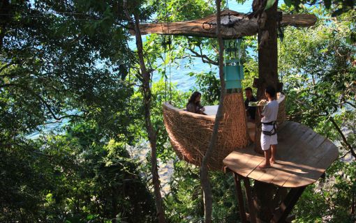 ツリーポットダイニング