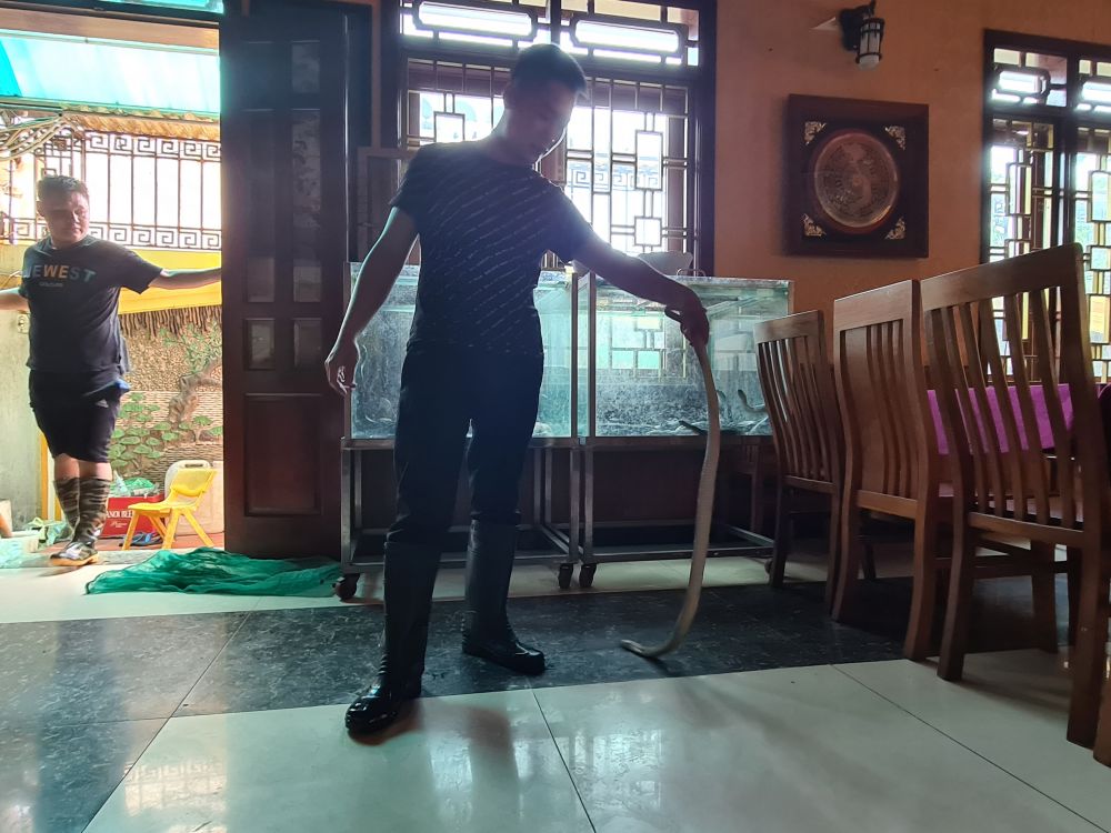 【7月限定!毎週土曜日開催】ハノイ発オンライン体験ツアー 5