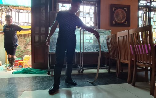 【7月限定!毎週土曜日開催】ハノイ発オンライン体験ツアー 5