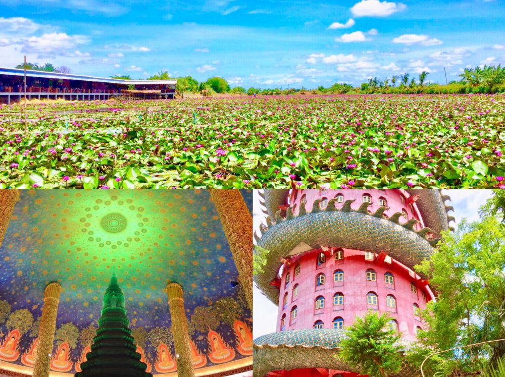 【バンコク発】フォトジェニックな1日コース！赤蓮の水上マーケット＆竜巻寺＆ワットパクナム！ 1