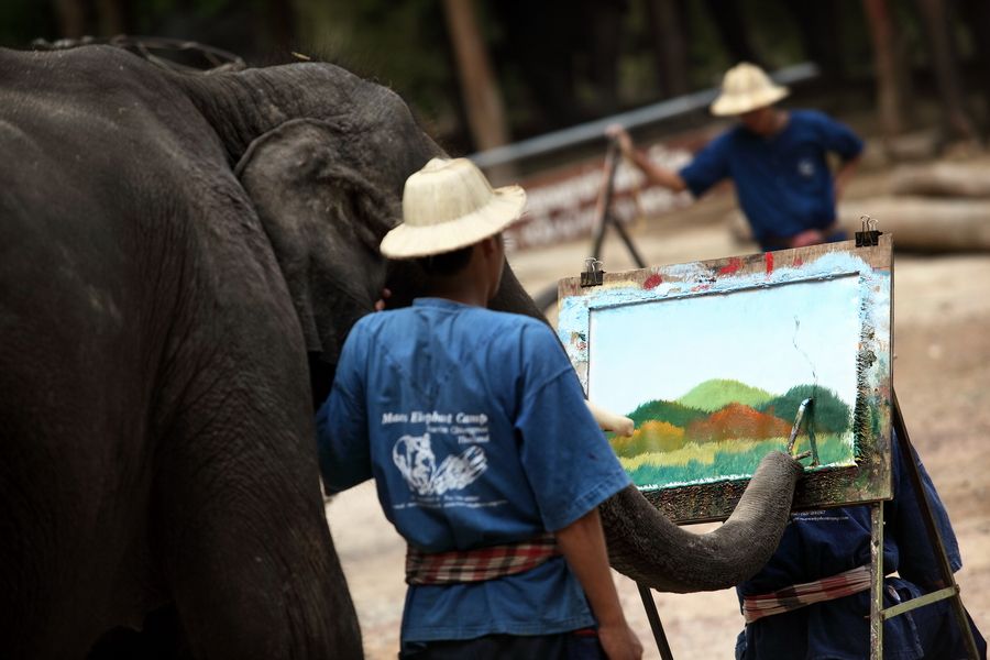 エレファントキャンプ