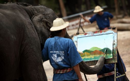 エレファントキャンプ