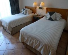 【バリ島発・往復航空券込み】1泊2日ボロブドゥール遺跡サンライズツアー 10