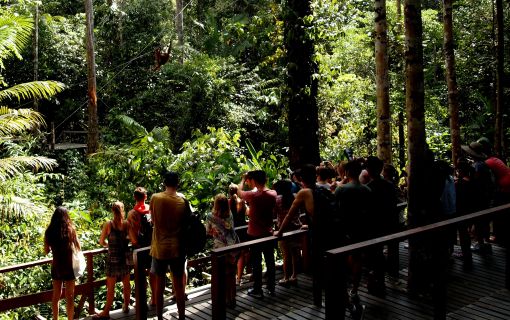 セメンゴ野生動物リハビリ・センター 2