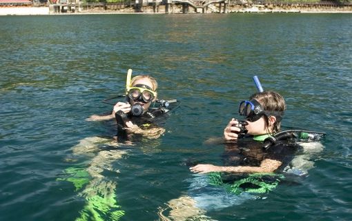 【ペナン発】コーラルガーデンパヤ島日帰りツアー＜1日観光＞ 8