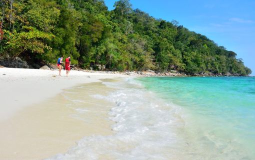 【ペナン発】コーラルガーデンパヤ島日帰りツアー＜1日観光＞ 6