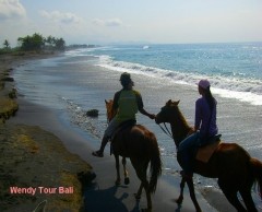 ガイドさんとノンビリ乗馬！