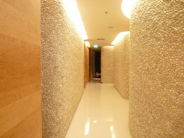 スパ　ル　メリディアン