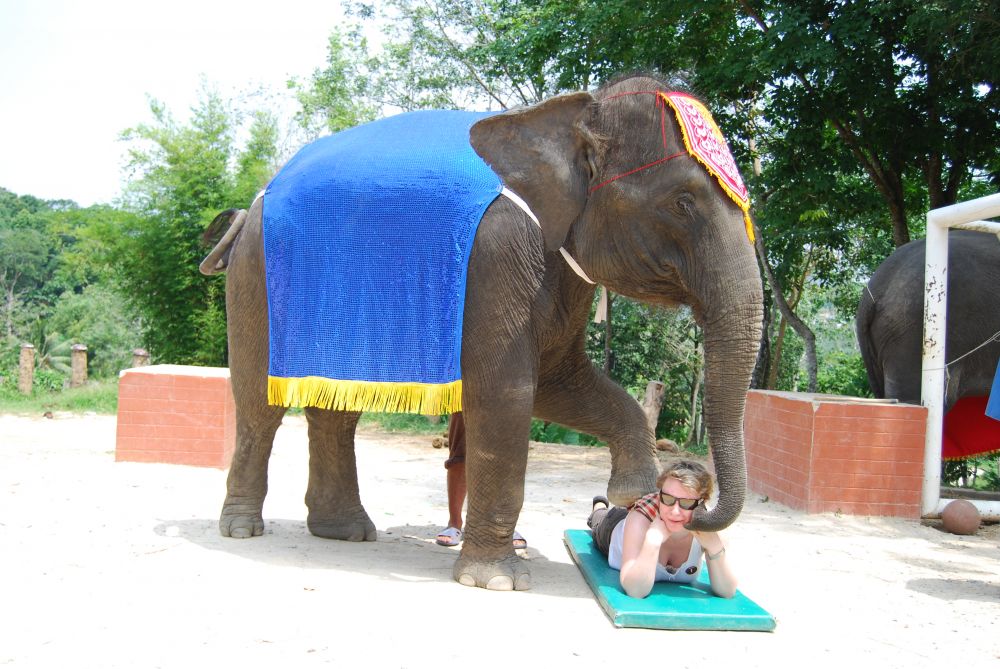 サファリツアー　９in1 / 日本語ガイド付き 1