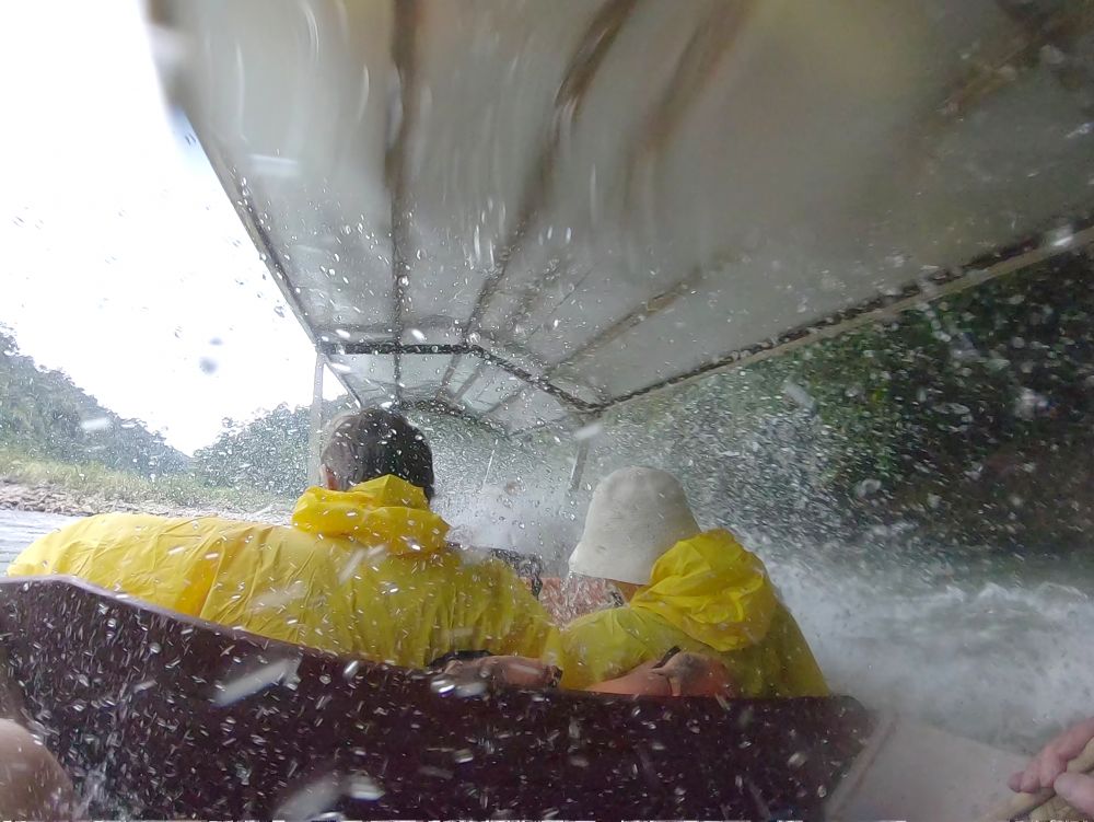 タマンネガラ国立公園 3泊4日ツアー|ムティアラ・タマンネガラ宿泊で大自然のジャングル体験<宿泊プラン>(クアラルンプール発) 9