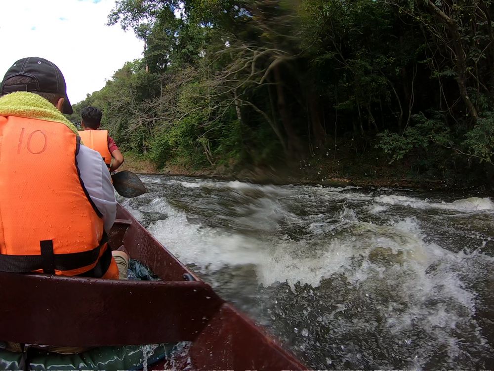 タマンネガラ国立公園 3泊4日ツアー|ムティアラ・タマンネガラ宿泊で大自然のジャングル体験<宿泊プラン>(クアラルンプール発) 7
