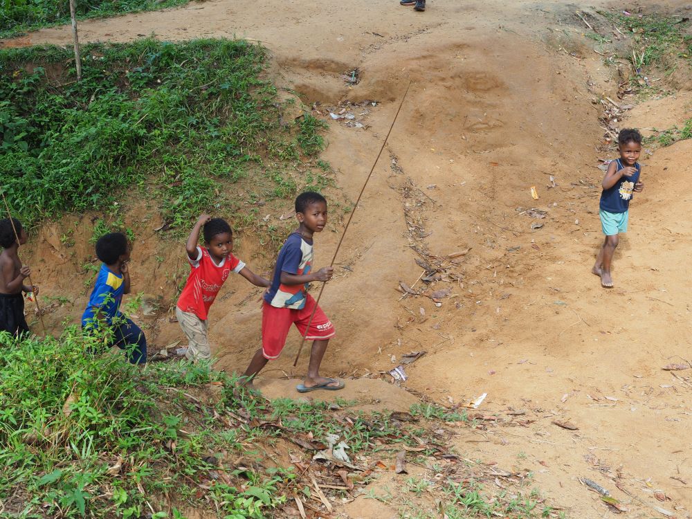 タマンネガラ国立公園 3泊4日ツアー|ムティアラ・タマンネガラ宿泊で大自然のジャングル体験<宿泊プラン>(クアラルンプール発) 10