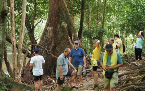 ジャングル体験！タマンネガラ国立公園ムティアラに泊まる3泊4日　（クアラルンプール発）