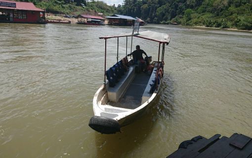 タマンネガラ国立公園 3泊4日ツアー|ムティアラ・タマンネガラ宿泊で大自然のジャングル体験<宿泊プラン>(クアラルンプール発) 3