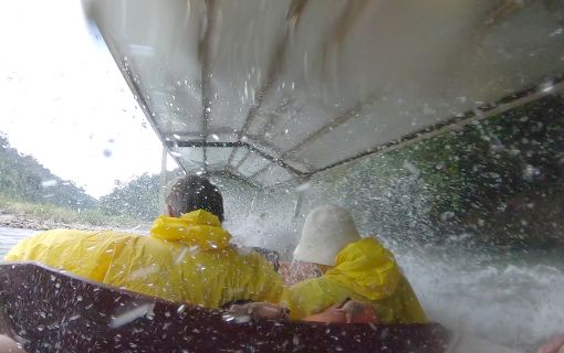 タマンネガラ国立公園 3泊4日ツアー|ムティアラ・タマンネガラ宿泊で大自然のジャングル体験<宿泊プラン>(クアラルンプール発) 9