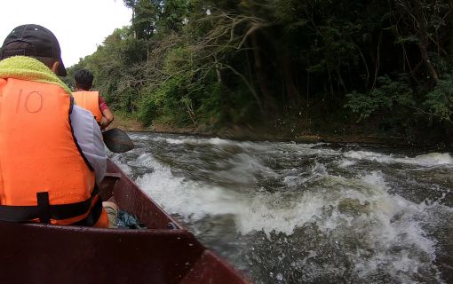 タマンネガラ国立公園 3泊4日ツアー|ムティアラ・タマンネガラ宿泊で大自然のジャングル体験<宿泊プラン>(クアラルンプール発) 7