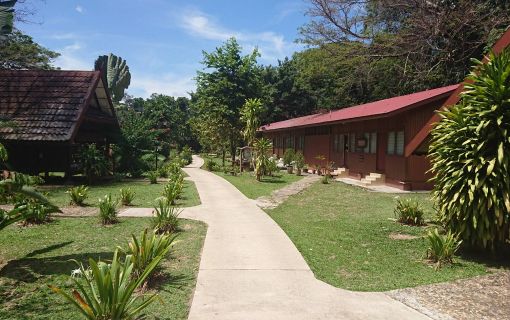 タマンネガラ国立公園 3泊4日ツアー|ムティアラ・タマンネガラ宿泊で大自然のジャングル体験<宿泊プラン>(クアラルンプール発) 4