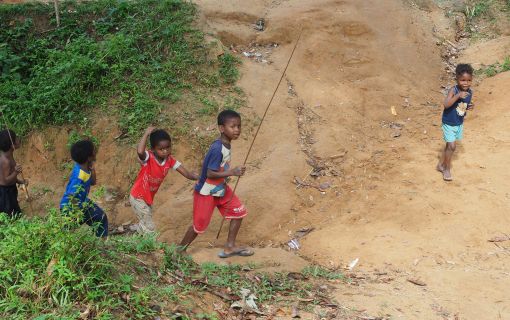 タマンネガラ国立公園 3泊4日ツアー|ムティアラ・タマンネガラ宿泊で大自然のジャングル体験<宿泊プラン>(クアラルンプール発) 10