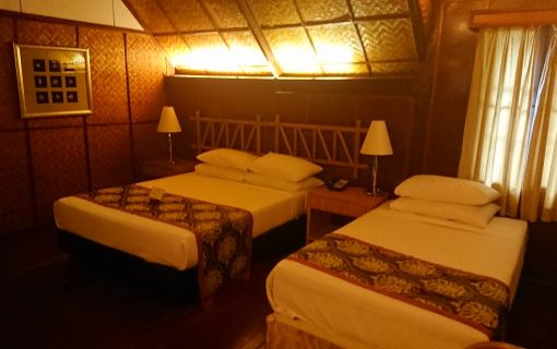 タマンネガラ国立公園 3泊4日ツアー|ムティアラ・タマンネガラ宿泊で大自然のジャングル体験<宿泊プラン>(クアラルンプール発) 5