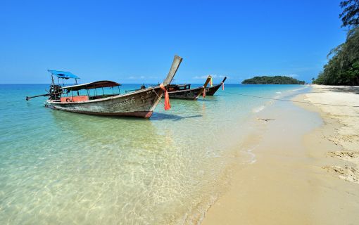 デュシタニクラビ