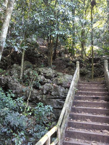 【ハノイ発】クックフン国立公園サイクリングツアー 3