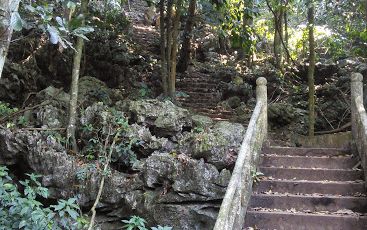 【ハノイ発】クックフン国立公園サイクリングツアー 3