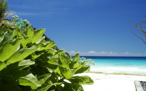 【バンコク発/ラチャ島】ザ ラチャ (The Racha) に泊まる2泊3日の旅 6