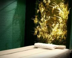 ターン・サンクチュアリー･ゲイソンプラザ店