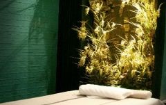 ターン・サンクチュアリー･ゲイソンプラザ店