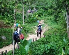 【プーケット発】サファリツアー9in1 7