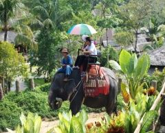 【プーケット発】サファリツアー9in1 1