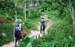 【プーケット発】サファリツアー9in1 7