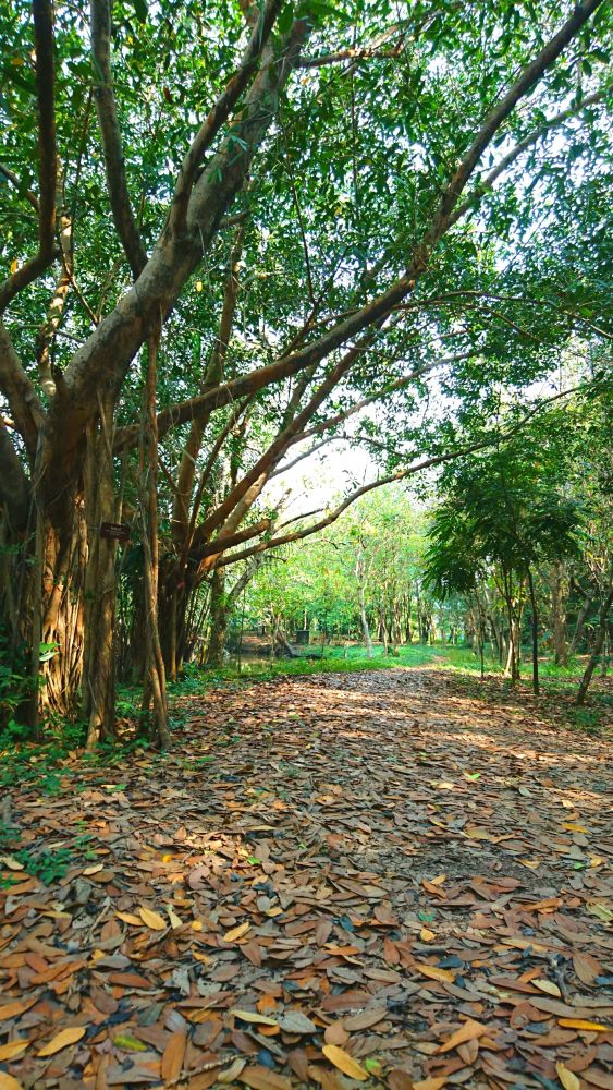 シーナコンクエンカン公園