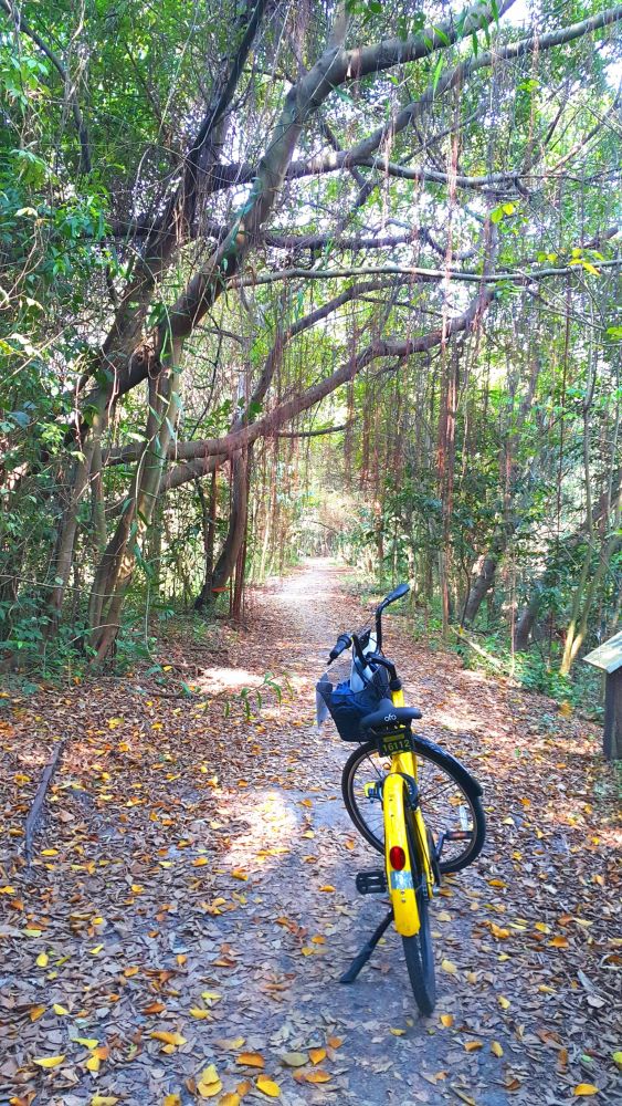 シーナコンクエンカン公園