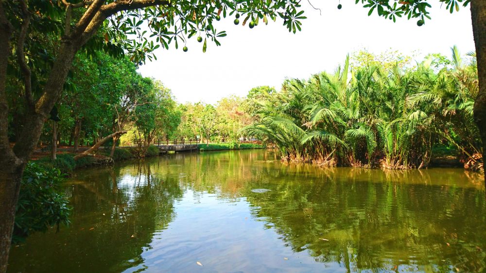 シーナコンクエンカン公園