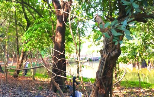 シーナコンクエンカン公園