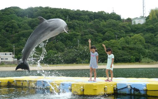 ベーシックプラン【大阪発】四国アクティビティツアー!瀬戸内海でイルカとふれあい、吉野川でラフティング!