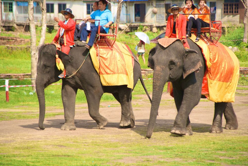 アユタヤ水上マーケット