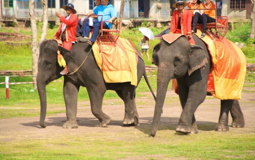 アユタヤ水上マーケット