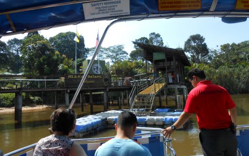 オランウータン保護センターへ渡るボート