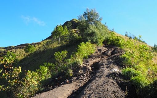 バトゥール山サンライズトレッキングツアー 4