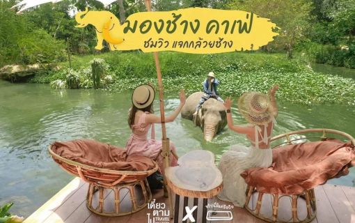 【特価】SNSで超話題沸騰中のゾウカフェ（Mongchang cafe)で、ゾウさんと一緒に写真を撮ろう！（バンコク発）（シラチャ発は150B引き） 1