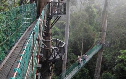 ≪英語ガイド≫ ダナンバレージャングル体験2泊3日　（コタキナバル発） 7