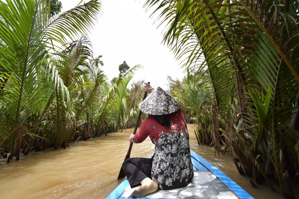 【ホーチミン発】市内観光＋メコン川蛍ツアー 8